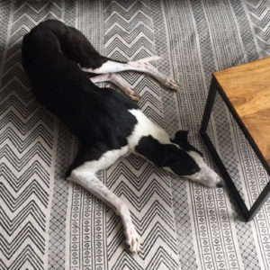 2019-09-03_Jessie0022