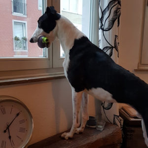 2019-09-03_Jessie0024