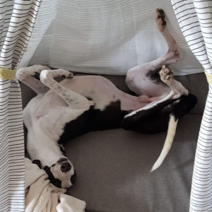 2019-09-03_Jessie0025