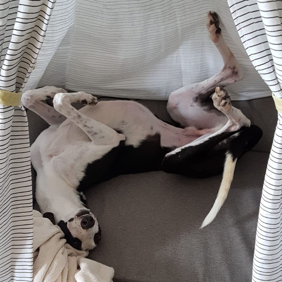 2019-09-03_Jessie0025