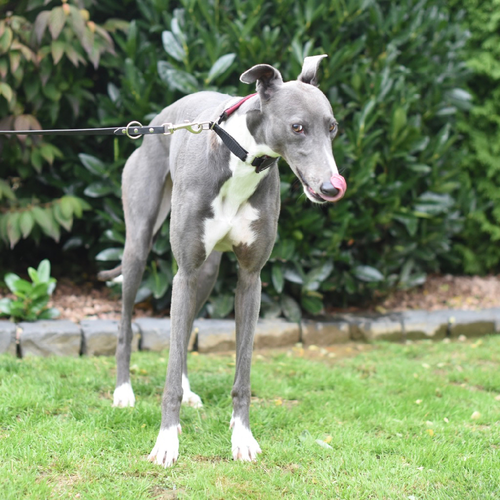 2019-09-03_Julia0002