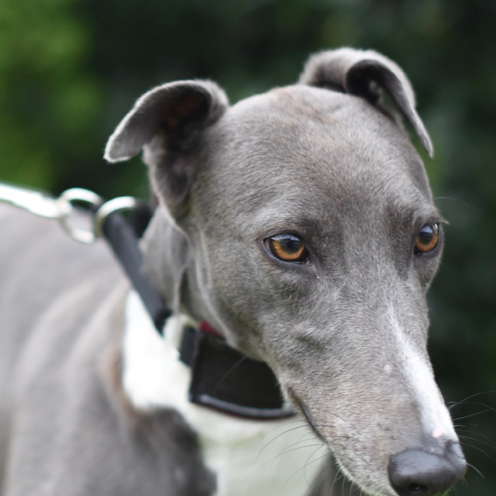 2019-09-03_Julia0003