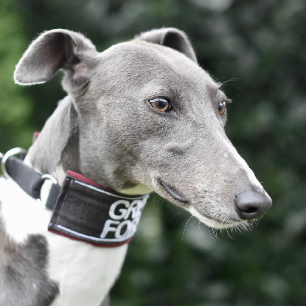 2019-09-03_Julia0004