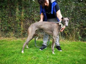 2019-09-03_Julia0011