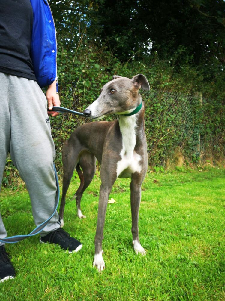 2019-09-03_Julia0013