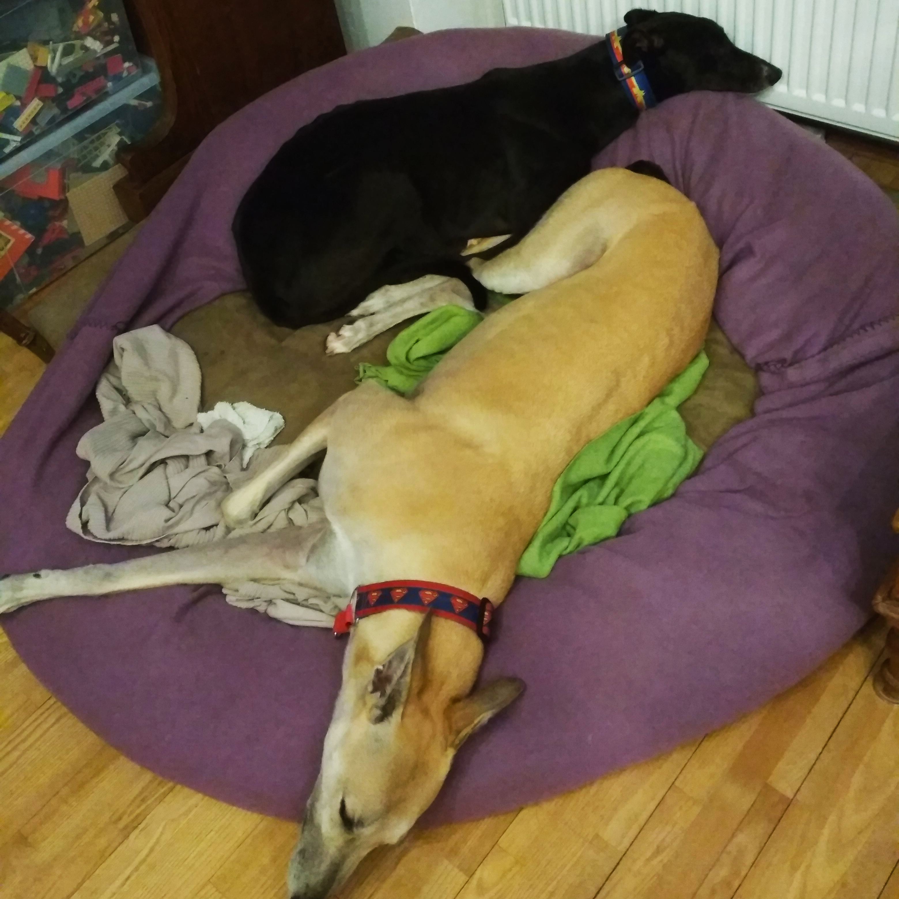 2019-10-14_Candy08