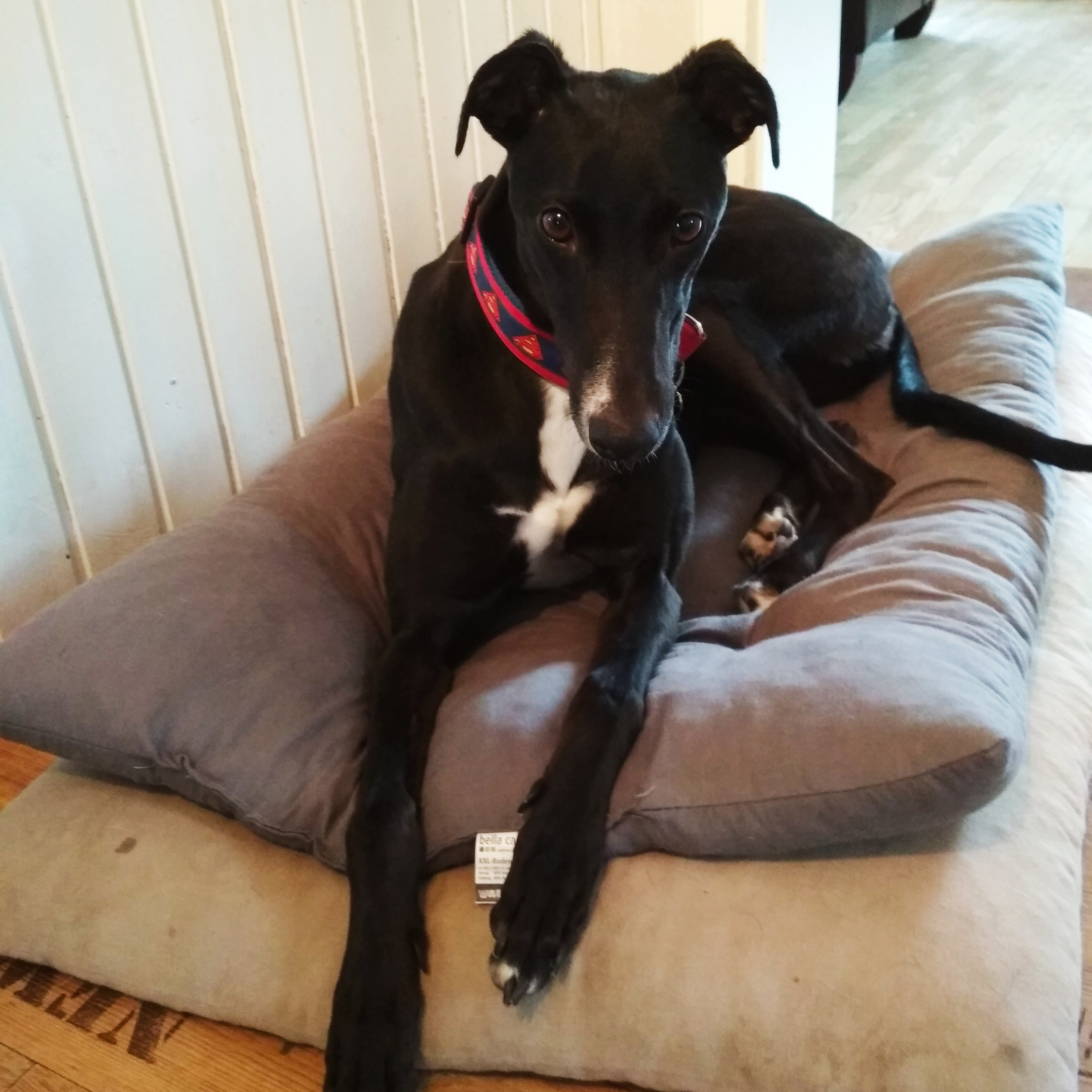 2019-10-14_Candy09