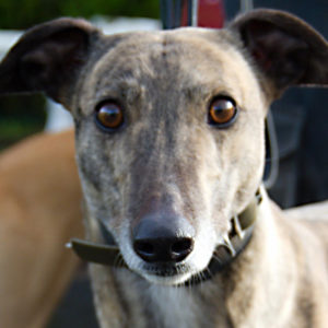 2019-10-15_Mabel_port