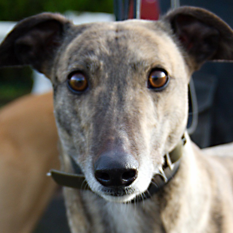 2019-10-15_Mabel_port