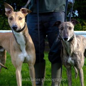 2019-10-15_Mack_Mabel_1