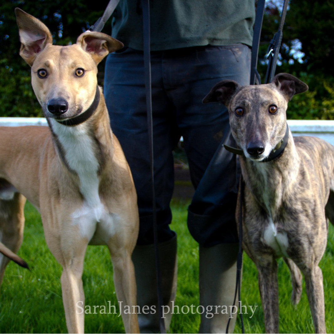 2019-10-15_Mack_Mabel_1