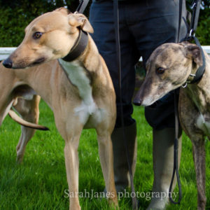 2019-10-15_Mack_Mabel_2