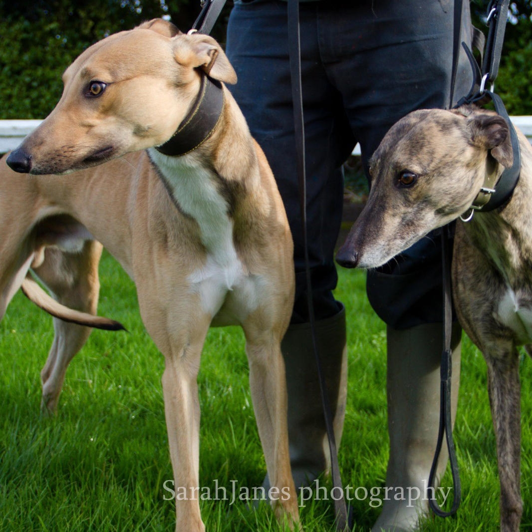 2019-10-15_Mack_Mabel_2