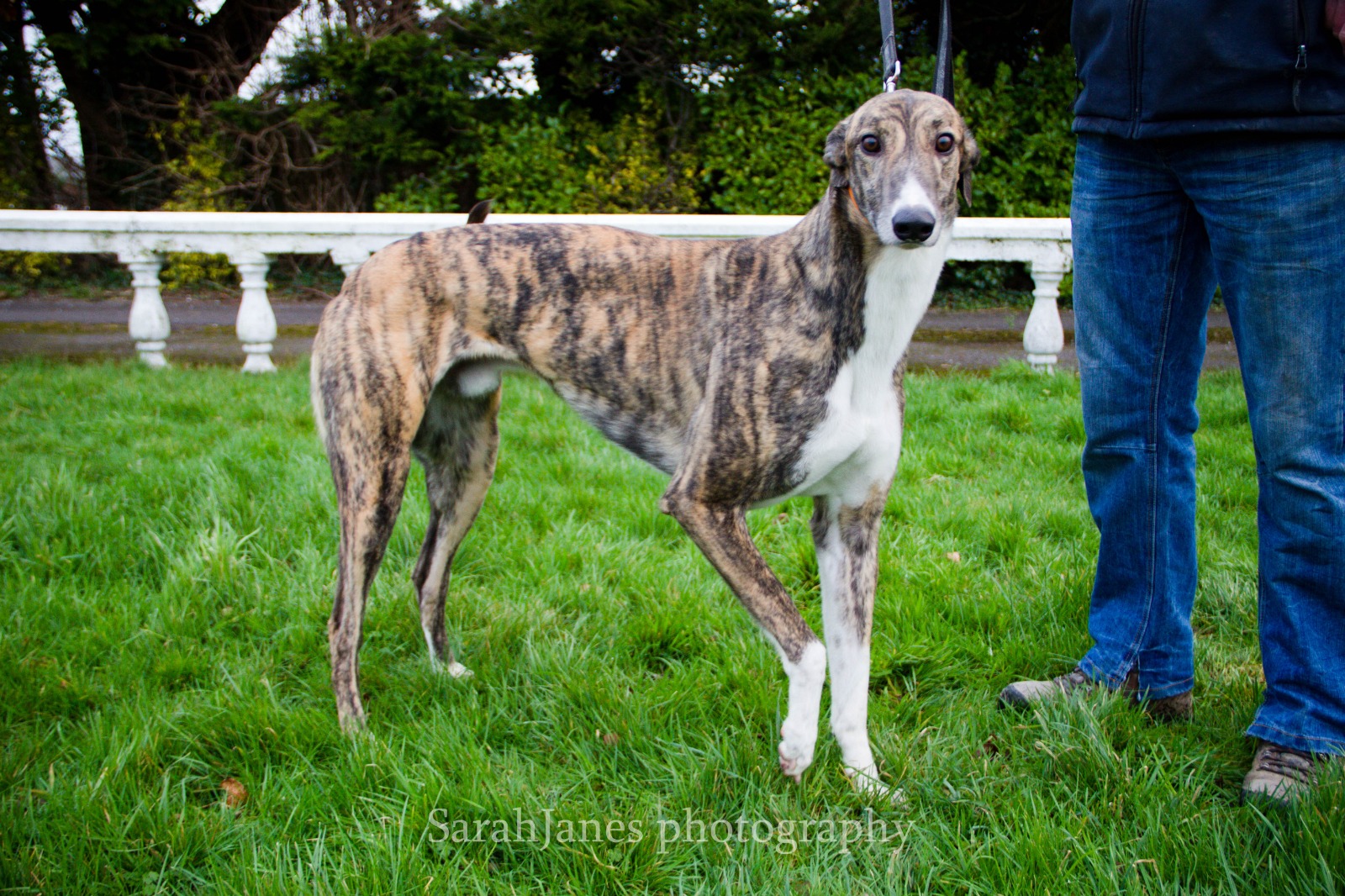 2020-IR-01_Berkie001