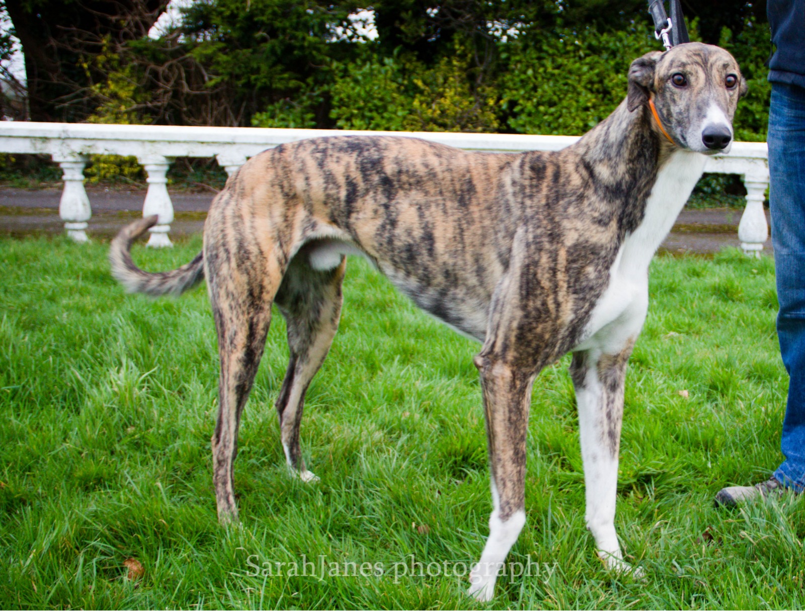 2020-IR-01_Berkie002