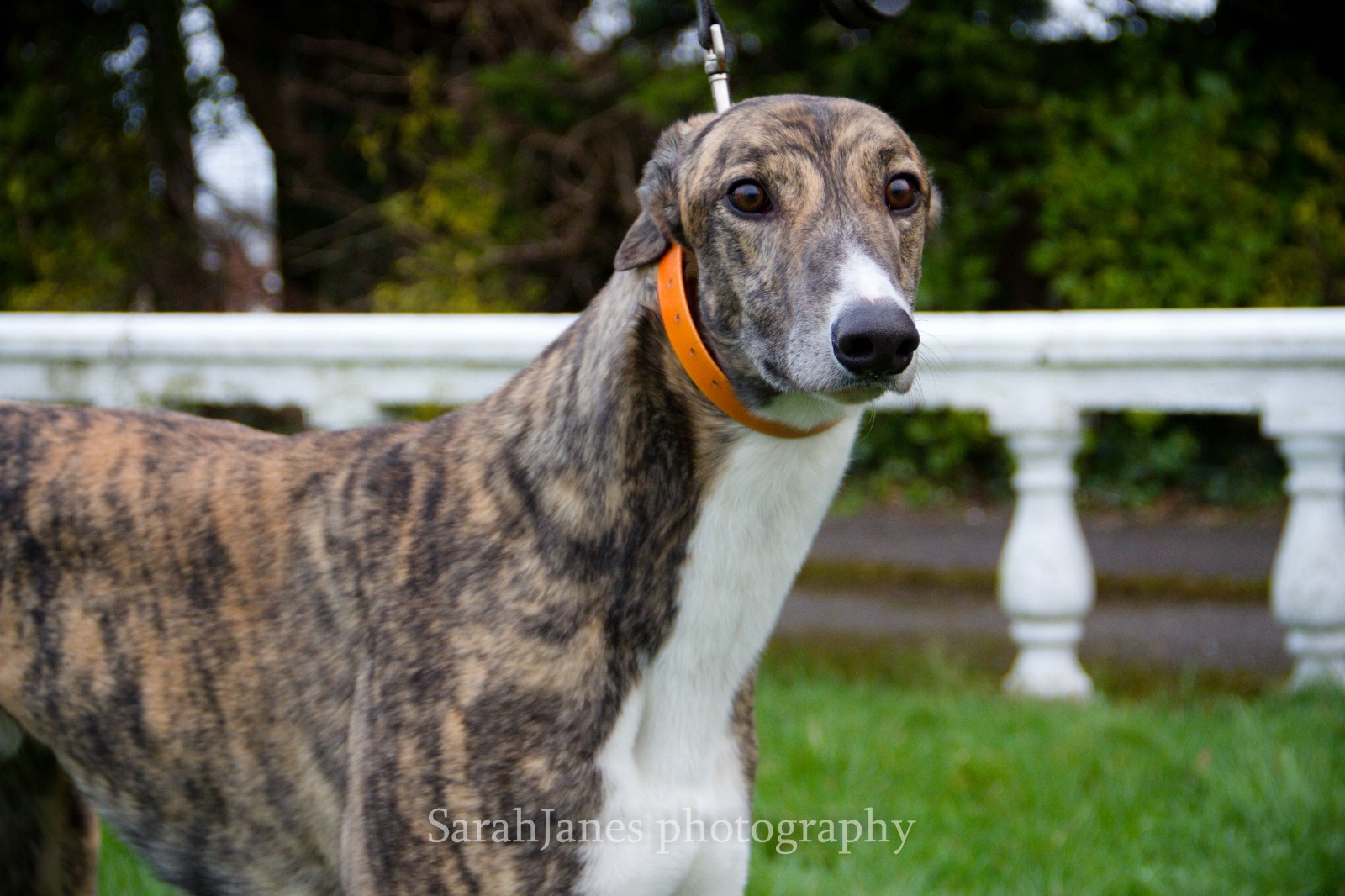 2020-IR-01_Berkie003