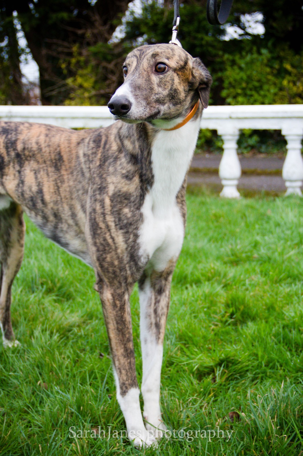 2020-IR-01_Berkie004