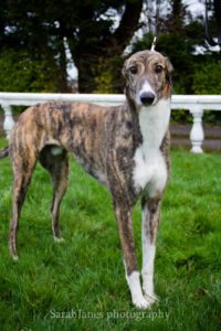 2020-IR-01_Berkie006