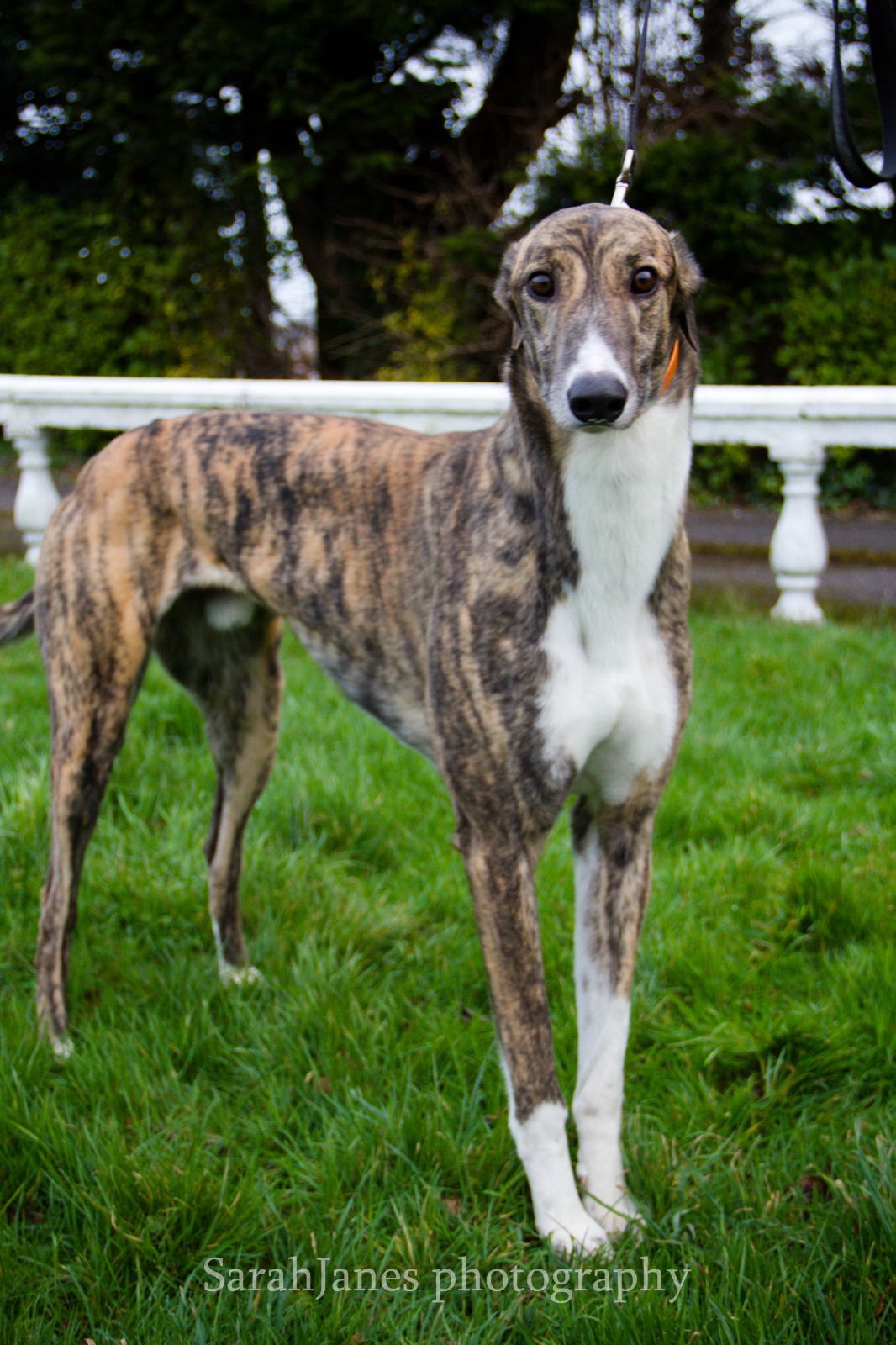 2020-IR-01_Berkie006