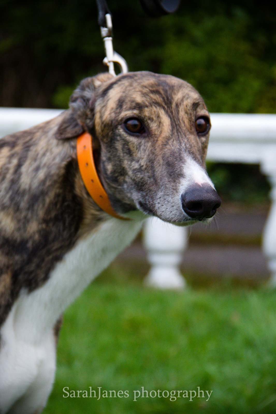 2020-IR-01_Berkie007