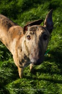 2020-IR-01_Joshua001