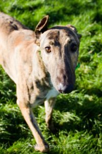 2020-IR-01_Joshua002