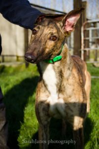 2020-IR-01_Joshua003