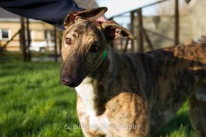 2020-IR-01_Joshua004