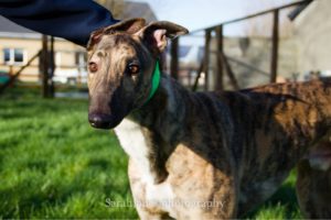 2020-IR-01_Joshua005