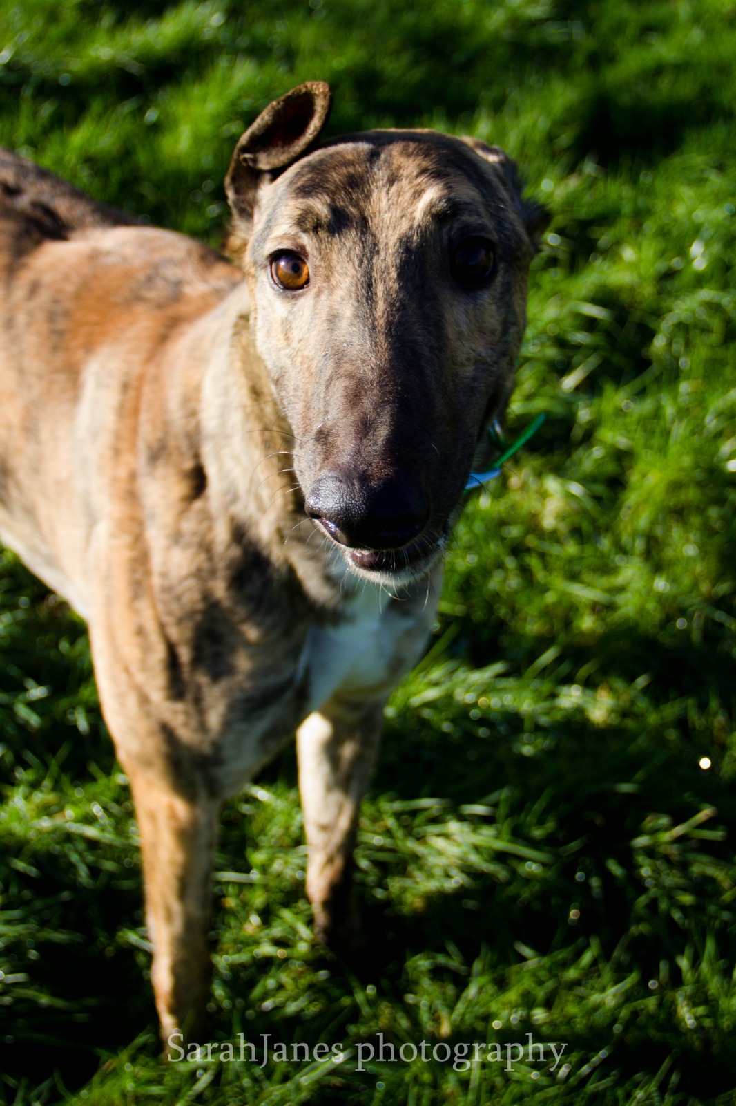 2020-IR-01_Joshua006