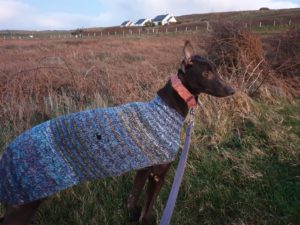 2020-IR-01_Triona002