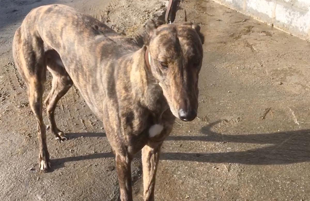 2020-IR-03-Charlie05