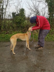 2020-IR-03-Lucy01.jp2_