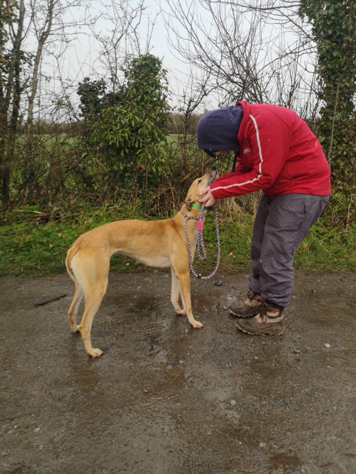 2020-IR-03-Lucy01.jp2_