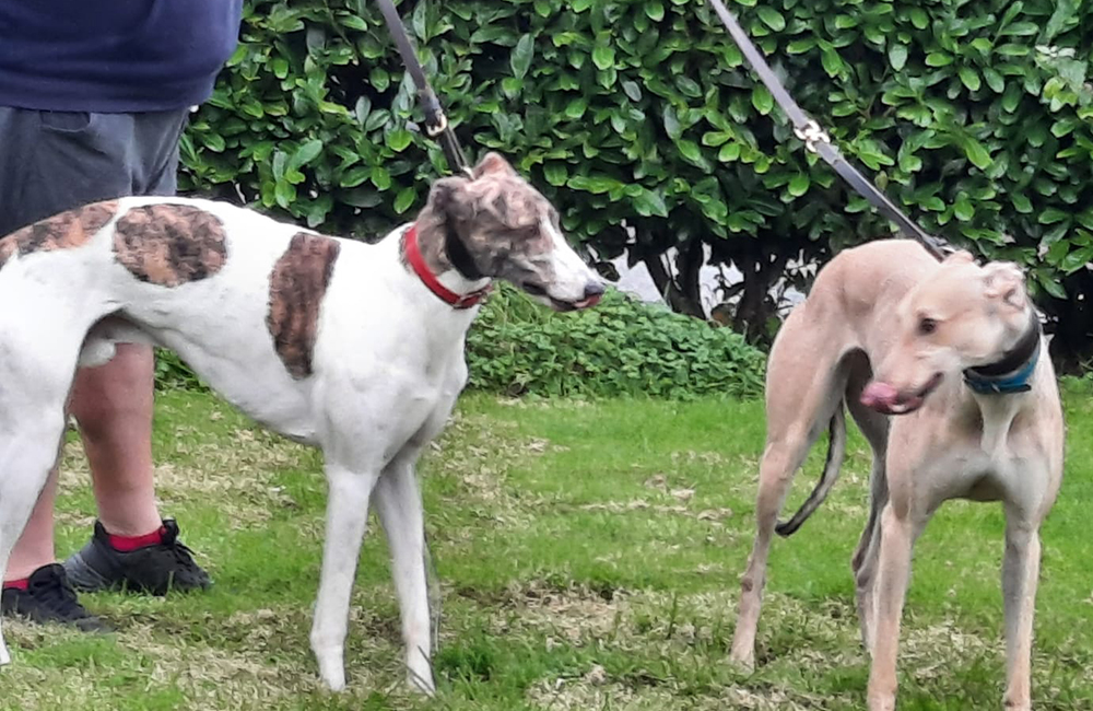 2020-IR-09-Oakley_Hendrix02