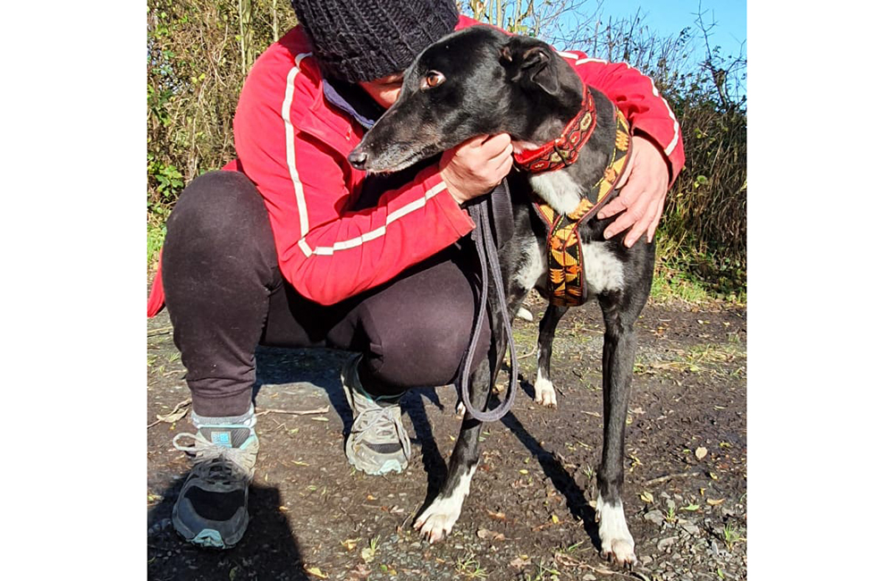 2020-IR-11-Charlie05