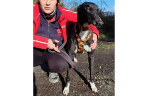 2020-IR-11-Charlie08