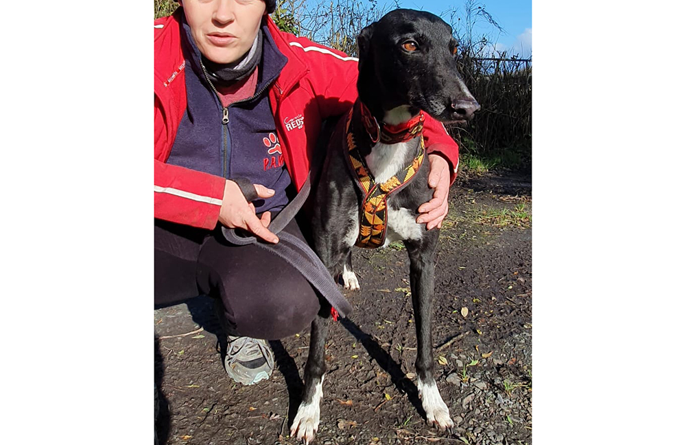 2020-IR-11-Charlie08