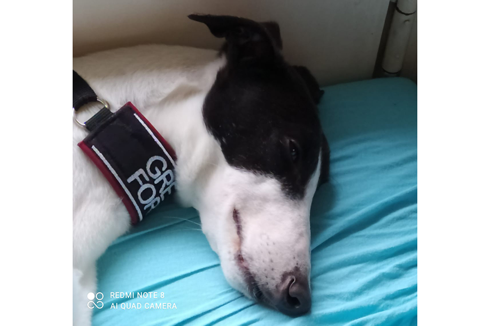 2021-IR-02-Harrison08