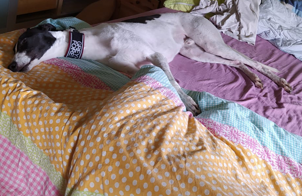 2021-IR-02-Harrison09