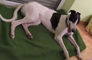 2021-IR-02-Harrison10