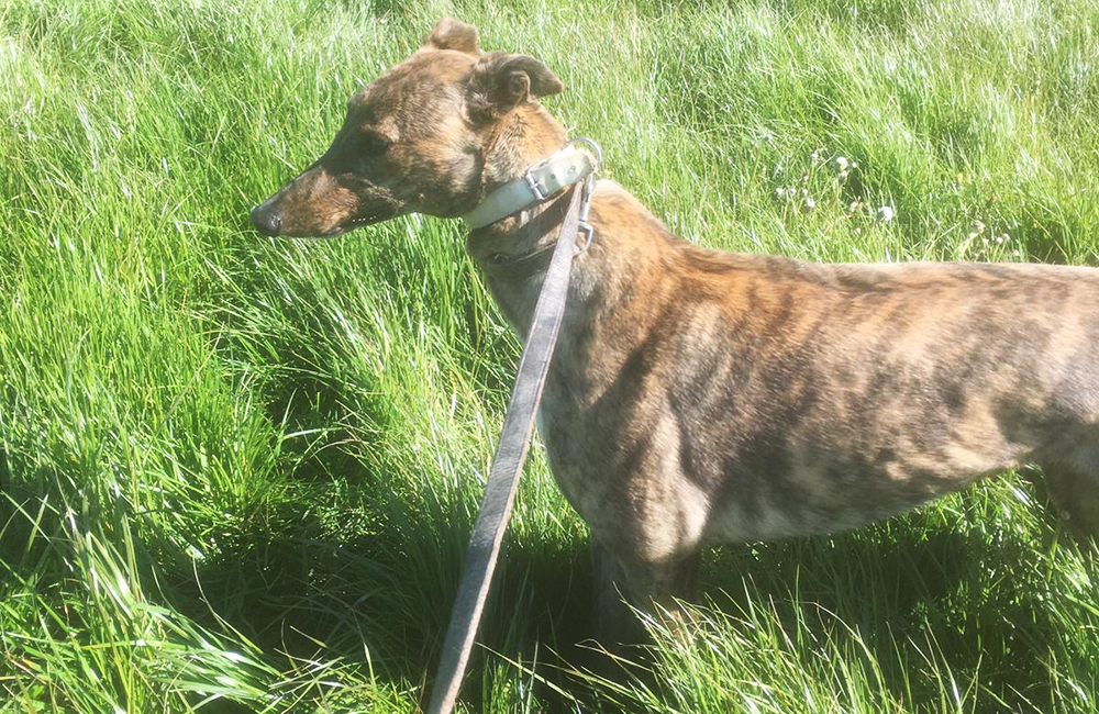 2021-IR-05-Lone-Madam02