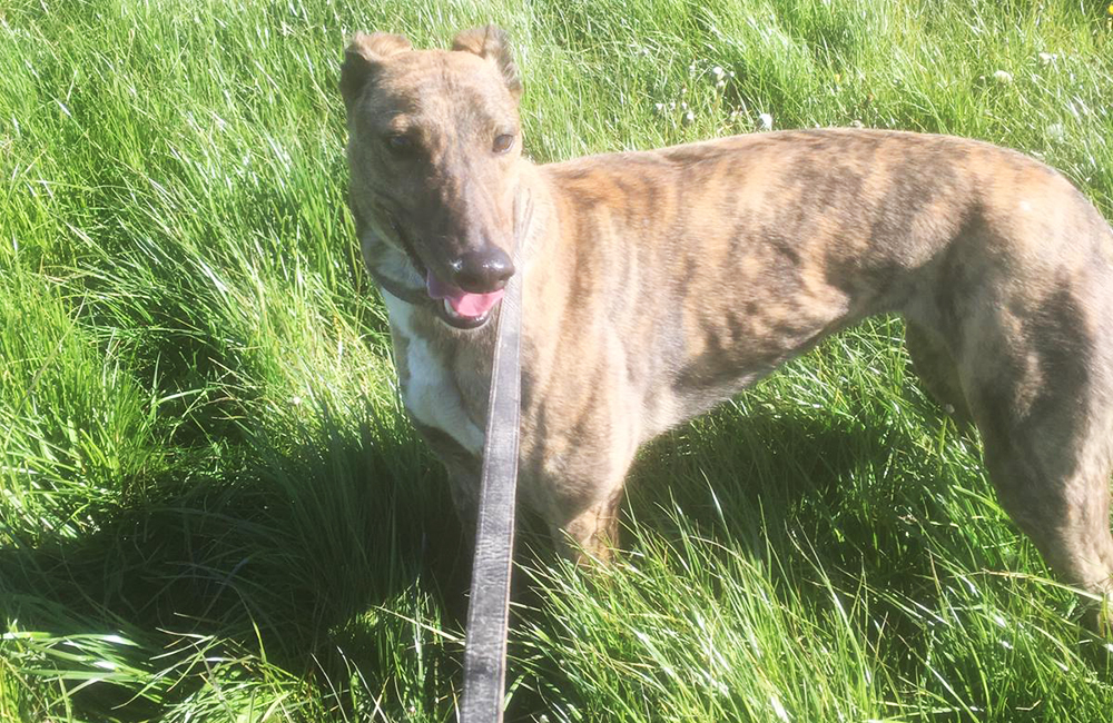 2021-IR-05-Lone-Madam03