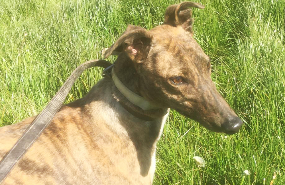 2021-IR-05-Lone-Madam04