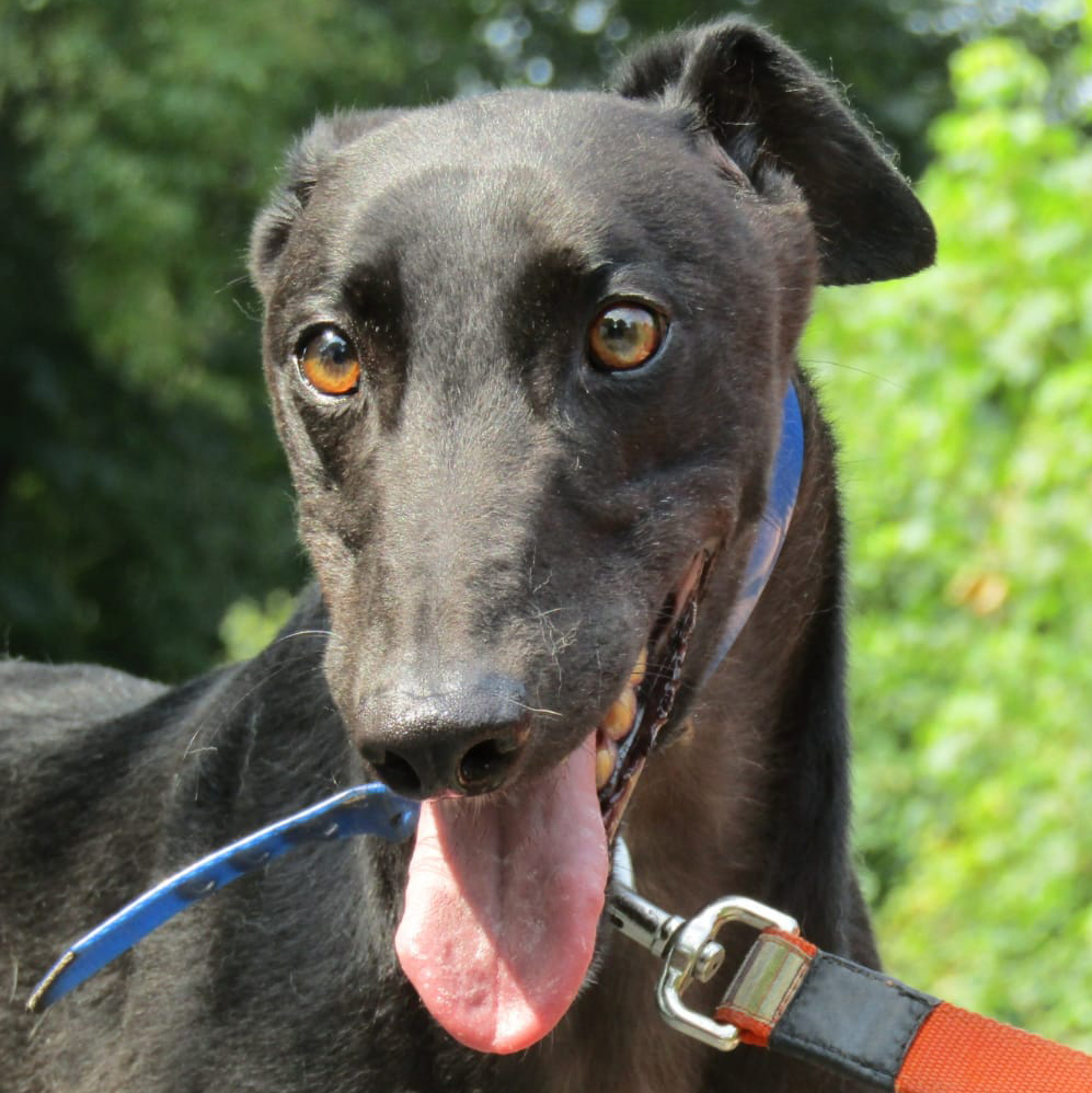 2021-07-MiguelQuadrat