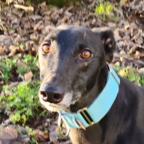 2021-12-TristanQuadrat