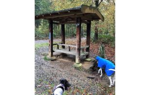 spaziergang-JUL21-11