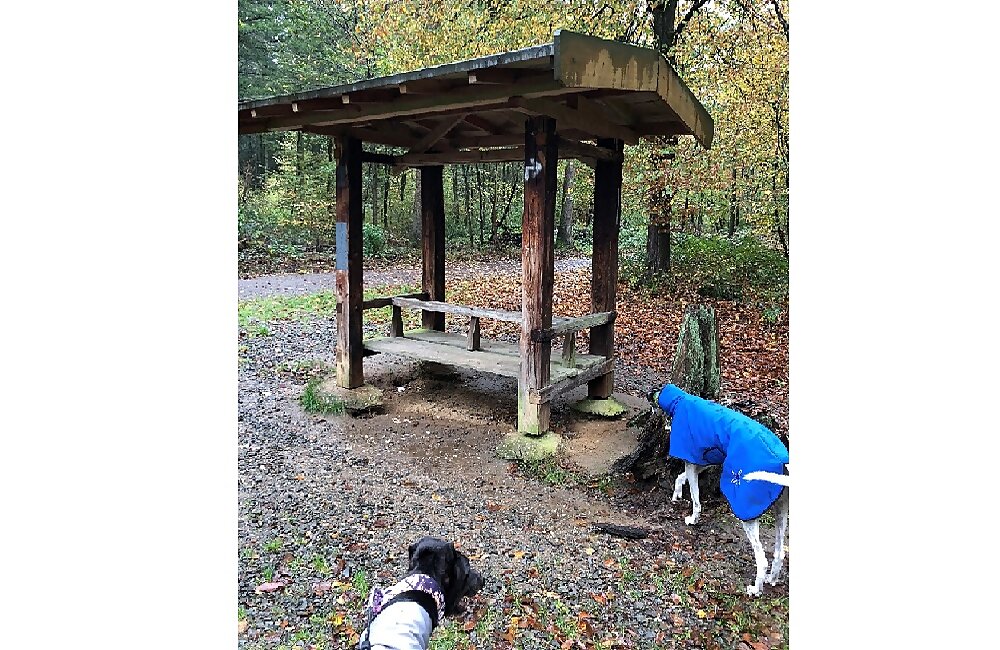 spaziergang-JUL21-11