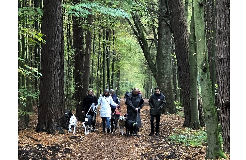 spaziergang-JUL21-31