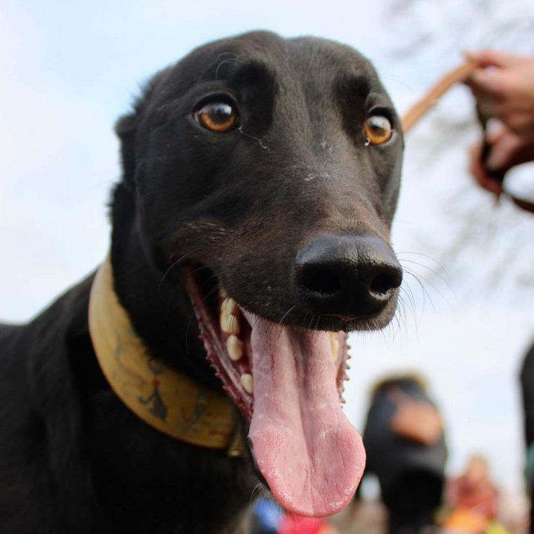 2022-01-ConanQuadrat